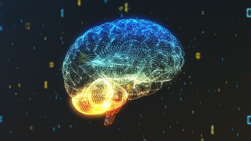 What a neural network really&nbsp;is?